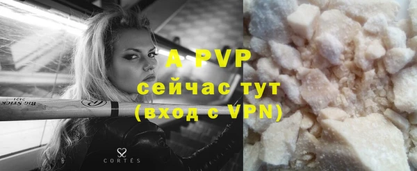 ECSTASY Богородск