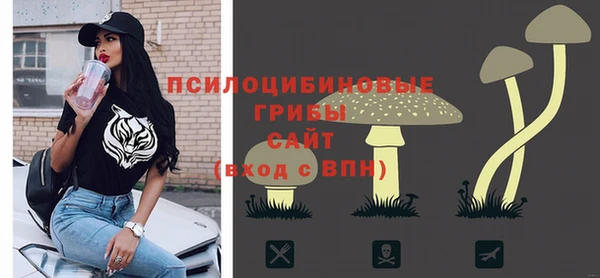 ECSTASY Богородск