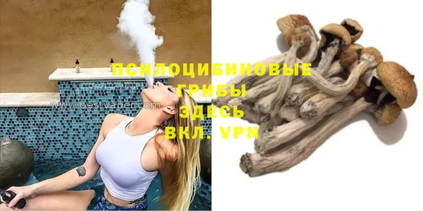МДПВ Белокуриха