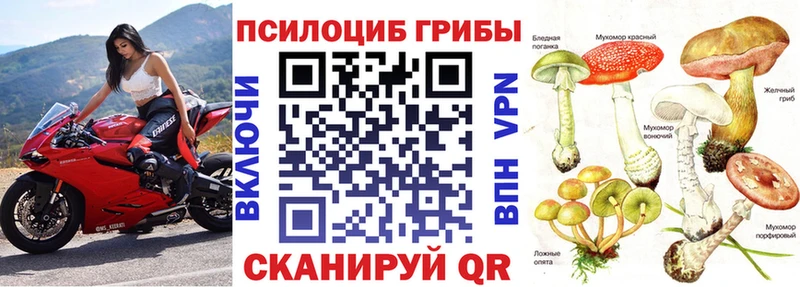 Галлюциногенные грибы Psilocybine cubensis  Бокситогорск 